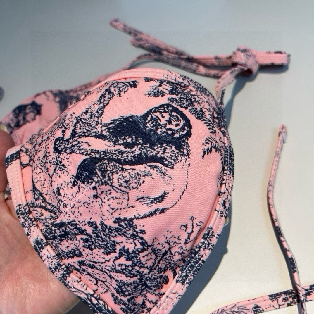 DIOR BIKINI 25S TWO PIECE IN 742647