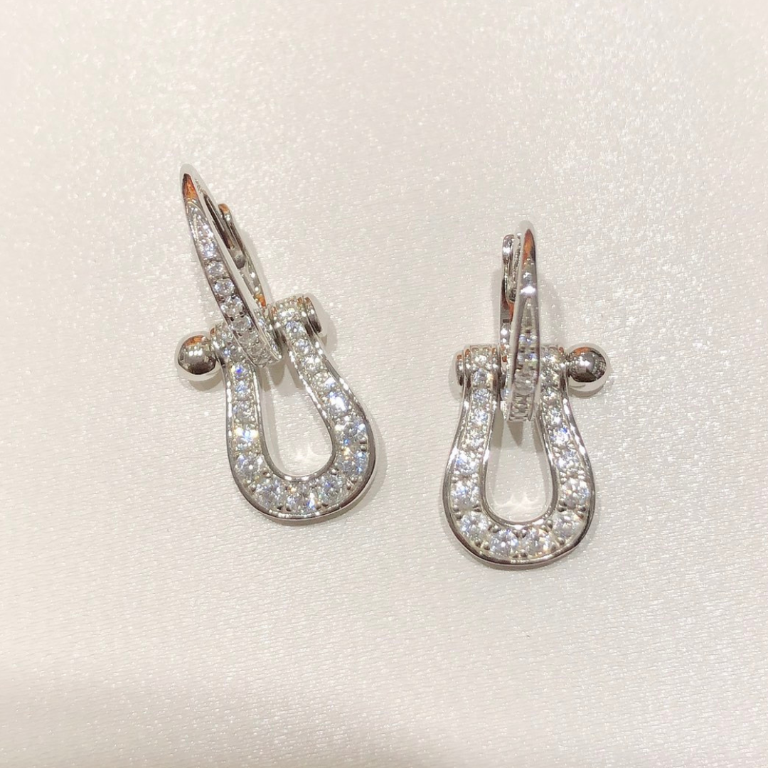 FORCE 10 EARRINGS