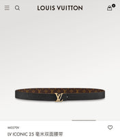 LV ICONIC 25 MM IN BROWN DAMIER CALFSKIN SILVER HARDWARE