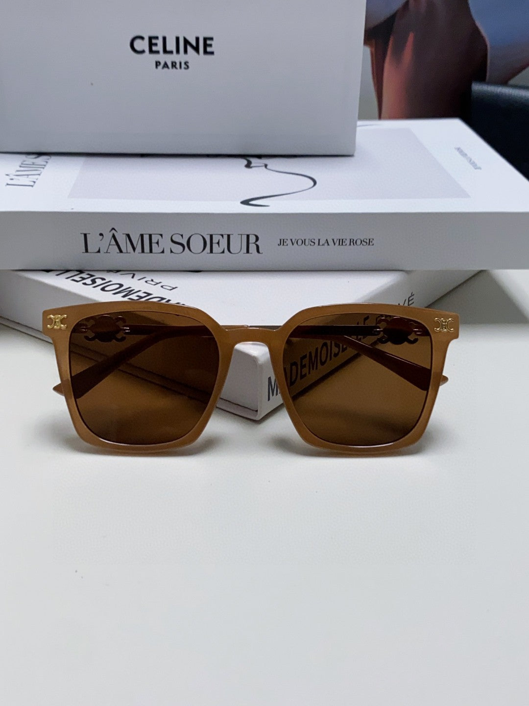 TRIOMPHE SUNGLASS 497816 IN NUDE METAL